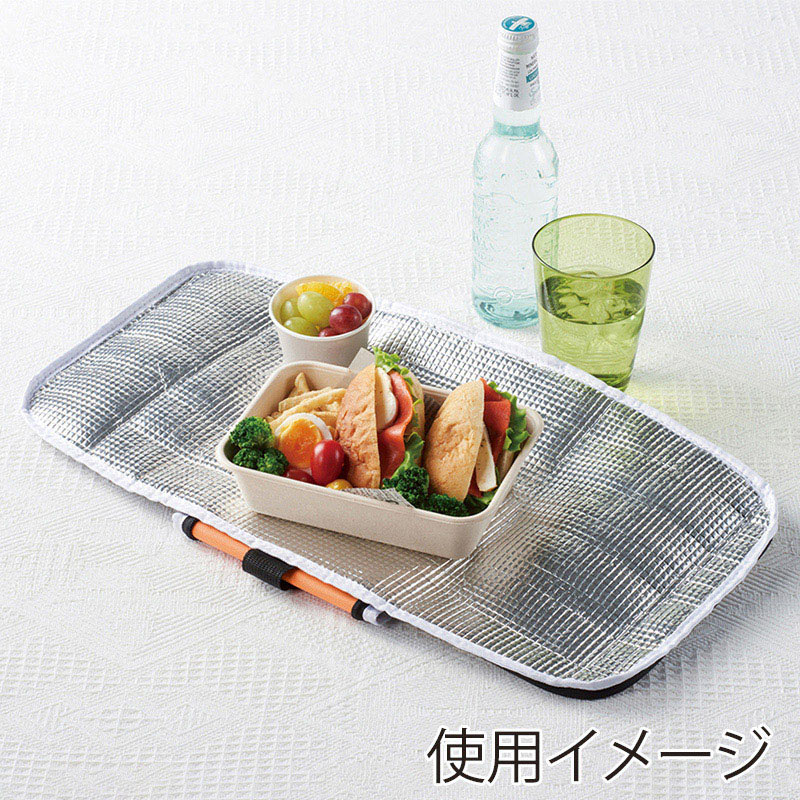 丸辰 キャンプス 保冷温フルジップランチバッグ 2色アソート 35979 1個(ご注文単位80個)【直送品】