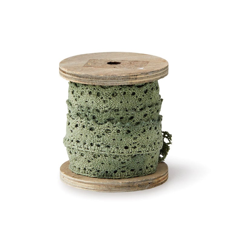 Paseo ハンドメイド用レースリボン 25mm×5m FT-29GR 1個（ご注文単位2個）【直送品】