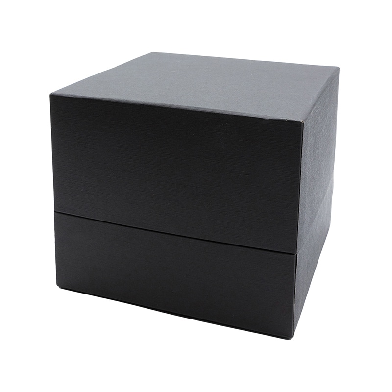 Paseo ブラックボックス L SP-55L 1個（ご注文単位3個）【直送品】