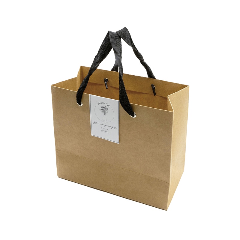 Paseo クラフトバッグ S　6枚入り PC-46 1組（ご注文単位2組）【直送品】