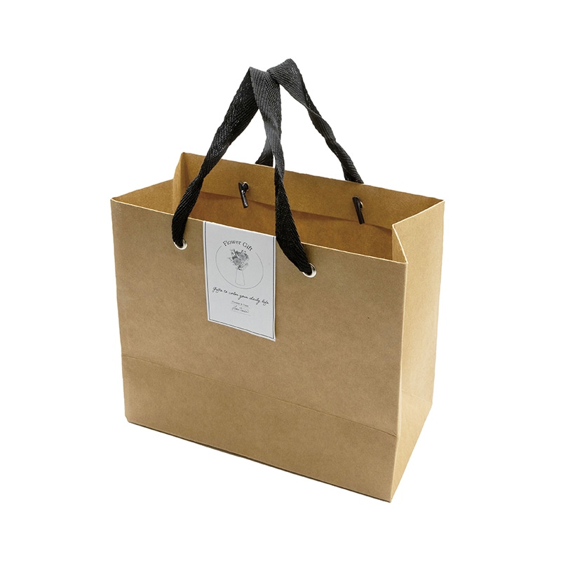 Paseo クラフトバッグ M 6枚入り PC-49 1組(ご注文単位1組)【直送品】