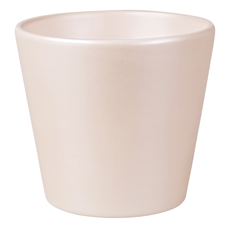 ケー・イー・アイ ガラスポット　シンプルコンポート M SS100-LP 1個（ご注文単位4個）【直送品】