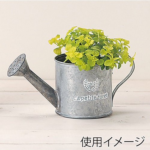 ケー・イー・アイ ブリキポット フレンチシルバーブリキ ジョーロ M 3392-B 1個(ご注文単位4個)【直送品】