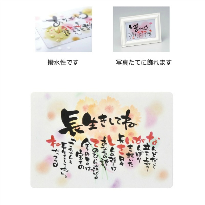 ケー・イー・アイ カード 作家さんのほっこりポエムカード 長生きしてね 4569 1枚(ご注文単位10枚)【直送品】