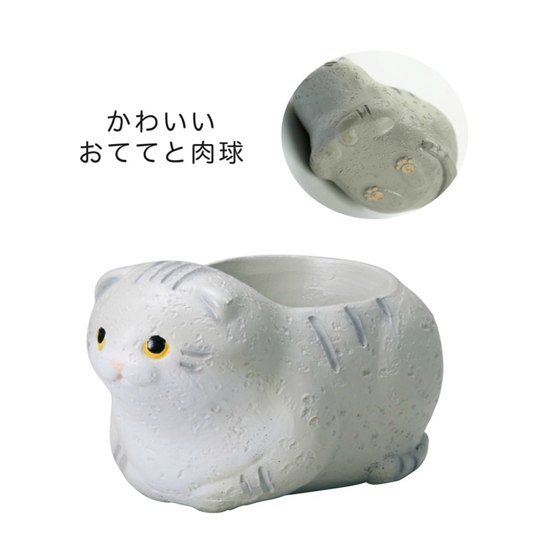 ケー・イー・アイ リトルレジンポット くつろぎねこ スコティッシュフォールド グレー 4894 1個(ご注文単位4個)【直送品】
