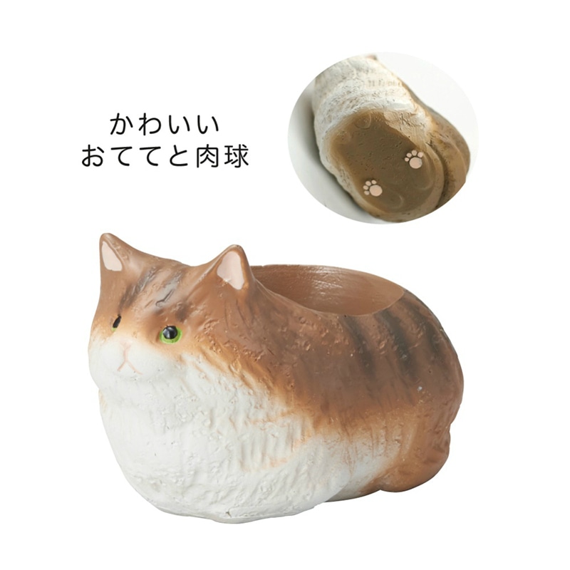 ケー・イー・アイ リトルレジンポット くつろぎねこ ノルウェージャンフォレストキャット 4896 1個(ご注文単位4個)【直送品】