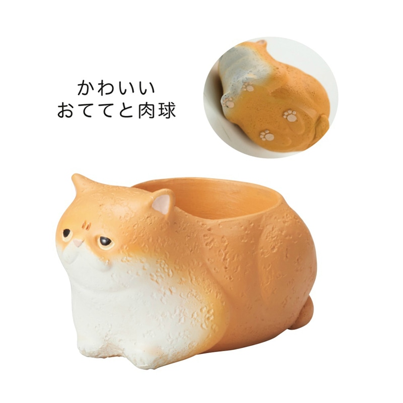 ケー・イー・アイ リトルレジンポット くつろぎねこ エキゾチックショートヘア 4900 1個(ご注文単位4個)【直送品】