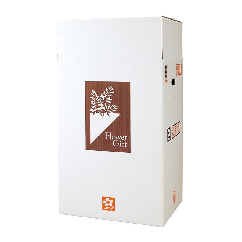 新光 フラワーギフトボックス S-14 200(180) サイドオープン型・パッド付 1枚(ご注文単位10枚)【直送品】