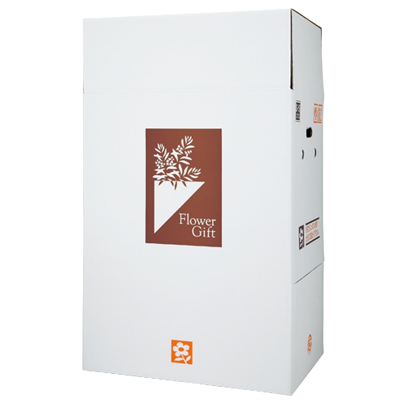 新光 フラワーギフトボックス S-15 218(195) サイドオープン型・パッド付 1枚(ご注文単位10枚)【直送品】