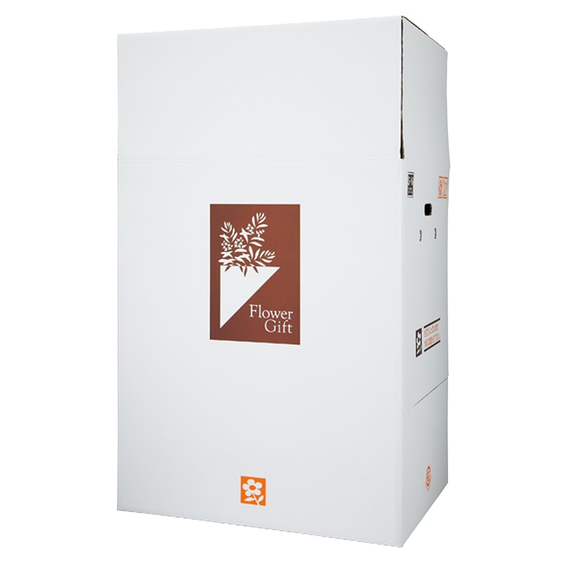 新光 フラワーギフトボックス S-16 253(226) サイドオープン型・パッド付 1枚(ご注文単位8枚)【直送品】