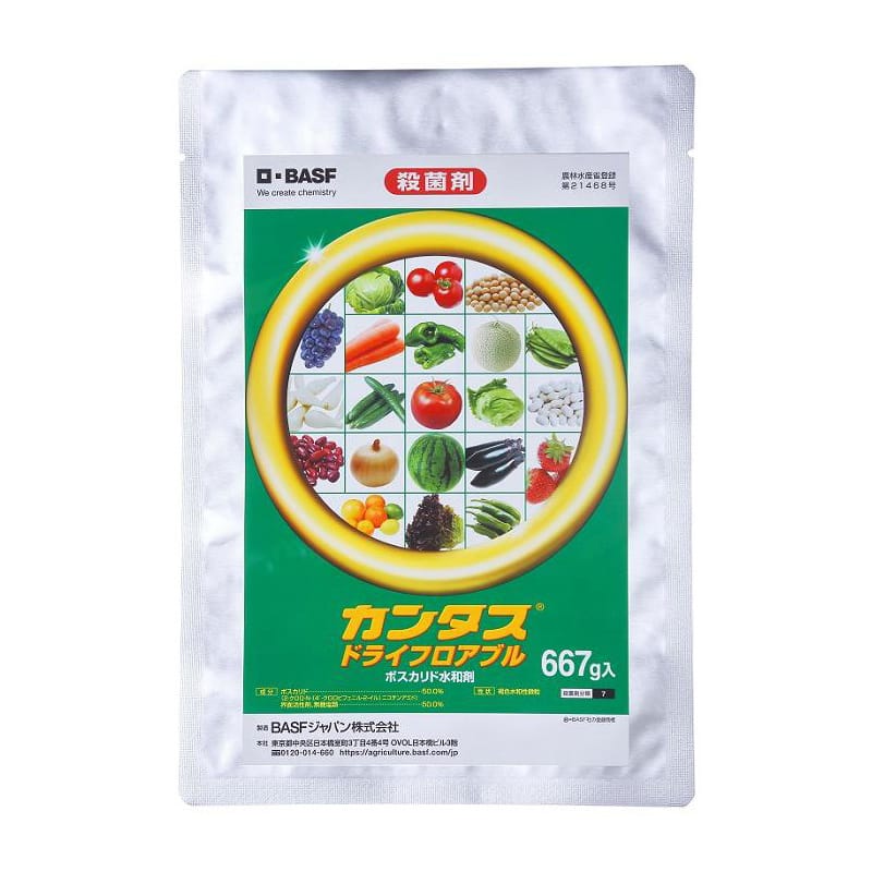 殺菌剤 カンタス ドライフロアブル 667g 1外袋/袋（ご注文単位1袋）【直送品】