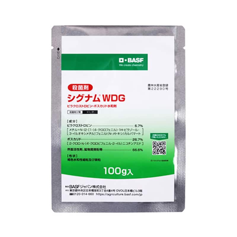 殺菌剤 シグナム WDG 100g 1本（ご注文単位1本）【直送品】