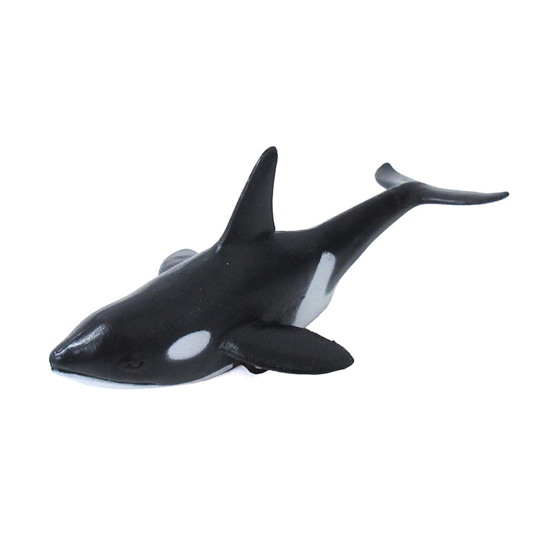 ファースト・アロー ワイルドシーアニマル プルバック 6種アソート 201-690 1個(ご注文単位12個)【直送品】