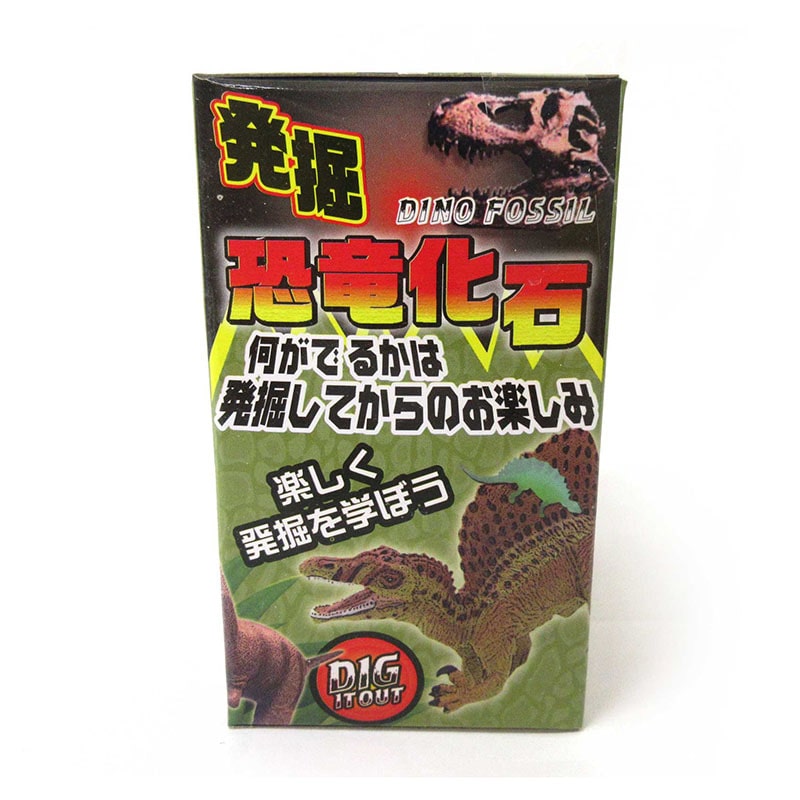 ファースト・アロー 発掘!恐竜化石 206-631 1個(ご注文単位12個)【直送品】