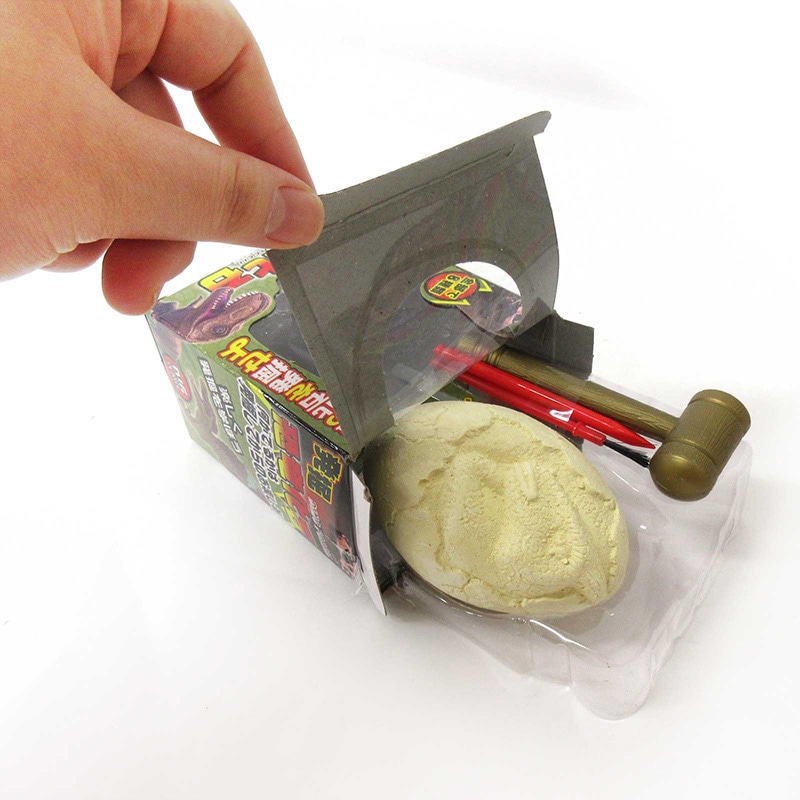 ファースト・アロー 発掘!恐竜化石 206-631 1個(ご注文単位12個)【直送品】