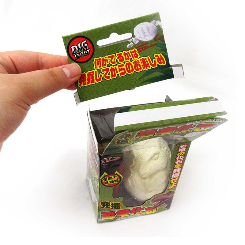 ファースト・アロー 発掘!恐竜化石 206-631 1個(ご注文単位12個)【直送品】