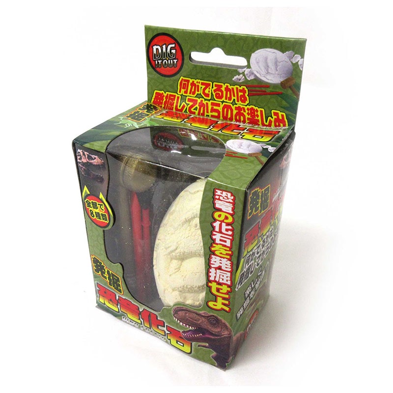 ファースト・アロー 発掘!恐竜化石 206-631 1個(ご注文単位12個)【直送品】