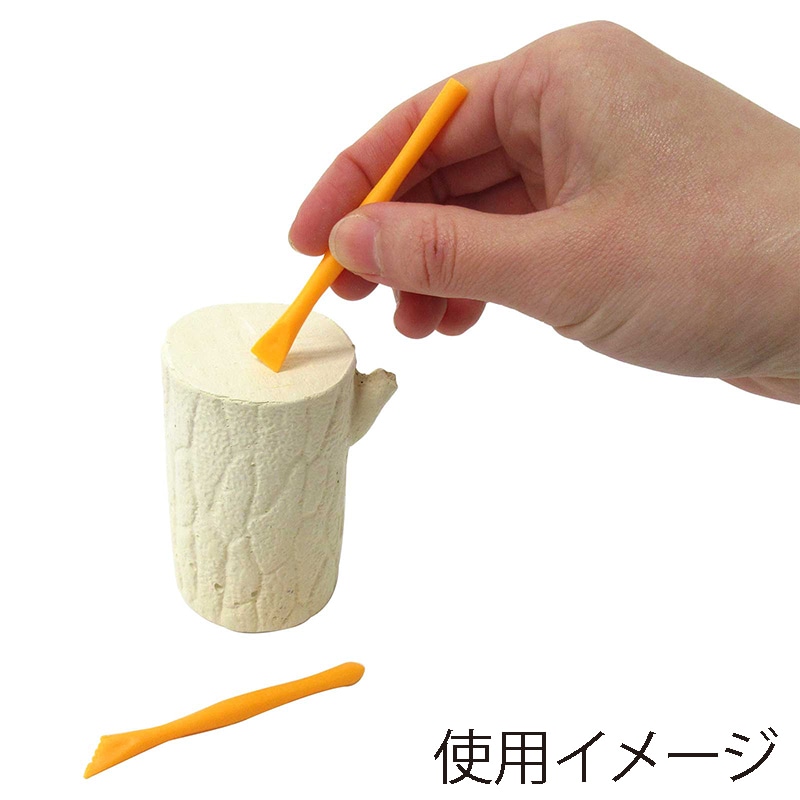 ファースト・アロー 発掘!世界の昆虫採集 206-634 1個(ご注文単位12個)【直送品】