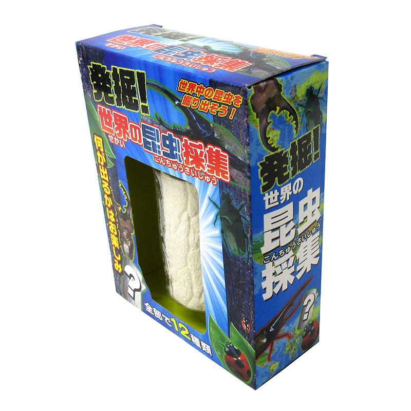 ファースト・アロー 発掘!世界の昆虫採集 206-634 1個(ご注文単位12個)【直送品】