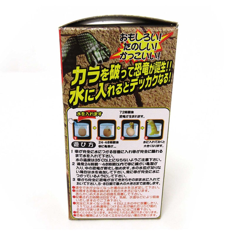 ファースト・アロー びっくりたまご 恐竜 206-667 1個(ご注文単位12個)【直送品】