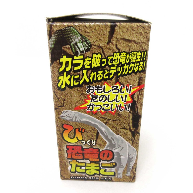 ファースト・アロー びっくりたまご 恐竜 206-667 1個(ご注文単位12個)【直送品】