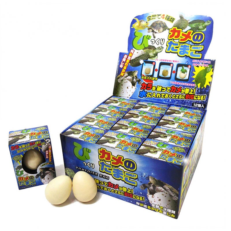 ファースト・アロー びっくりたまご カメ 206-669 1個(ご注文単位12個)【直送品】