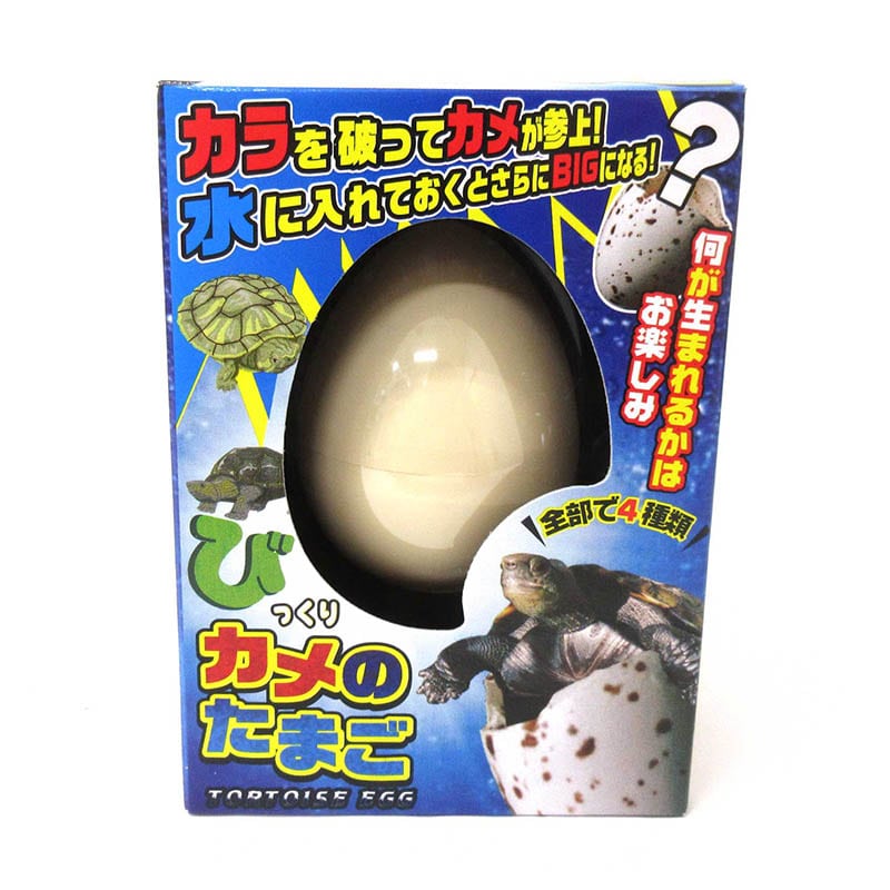 ファースト・アロー びっくりたまご カメ 206-669 1個(ご注文単位12個)【直送品】