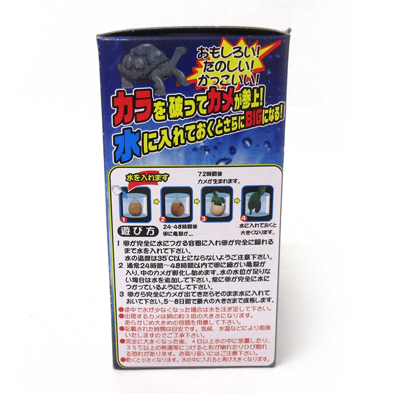 ファースト・アロー びっくりたまご カメ 206-669 1個(ご注文単位12個)【直送品】