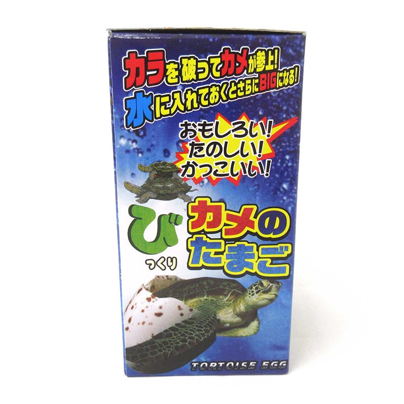 ファースト・アロー びっくりたまご カメ 206-669 1個(ご注文単位12個)【直送品】
