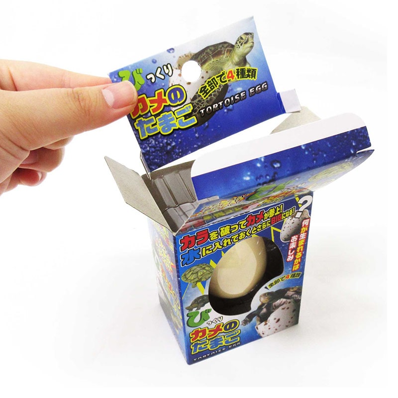 ファースト・アロー びっくりたまご カメ 206-669 1個(ご注文単位12個)【直送品】