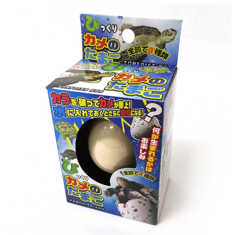 ファースト・アロー びっくりたまご カメ 206-669 1個(ご注文単位12個)【直送品】