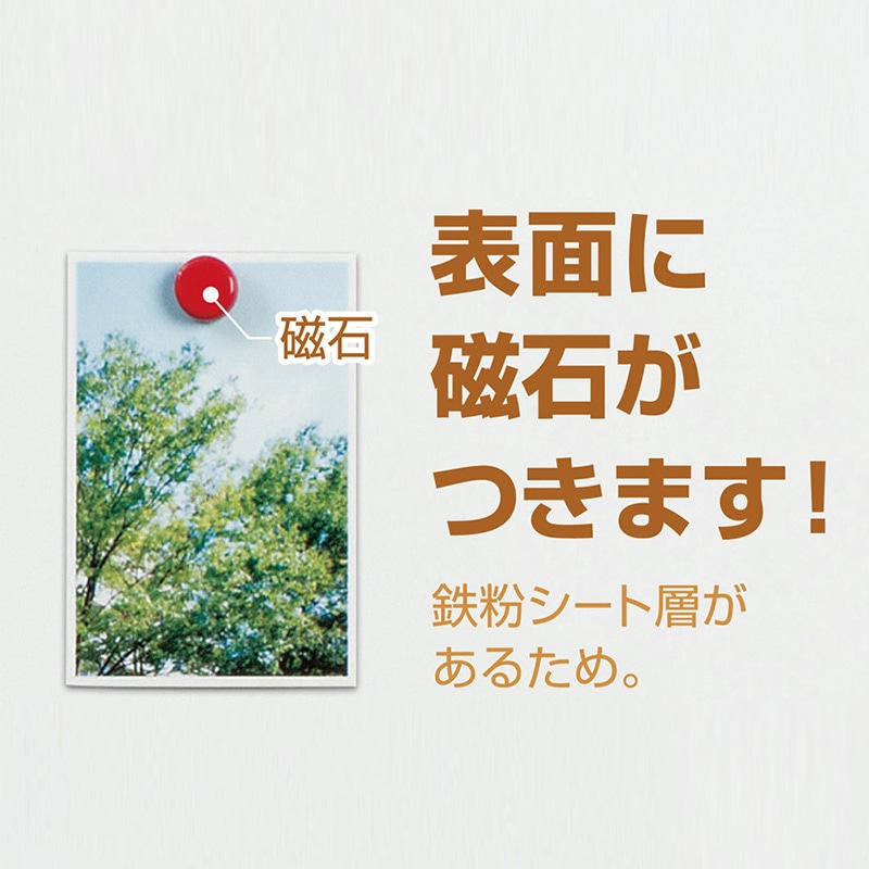 マグエックス どこでもホワイトボード M MKS-B5M 1枚(ご注文単位10個)【直送品】