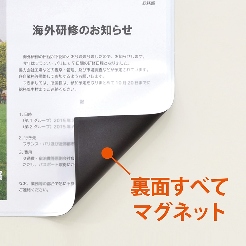 マグエックス マグネットカードケース ツヤ消し A5 MCARD-A5M 1枚(ご注文単位10個)【直送品】