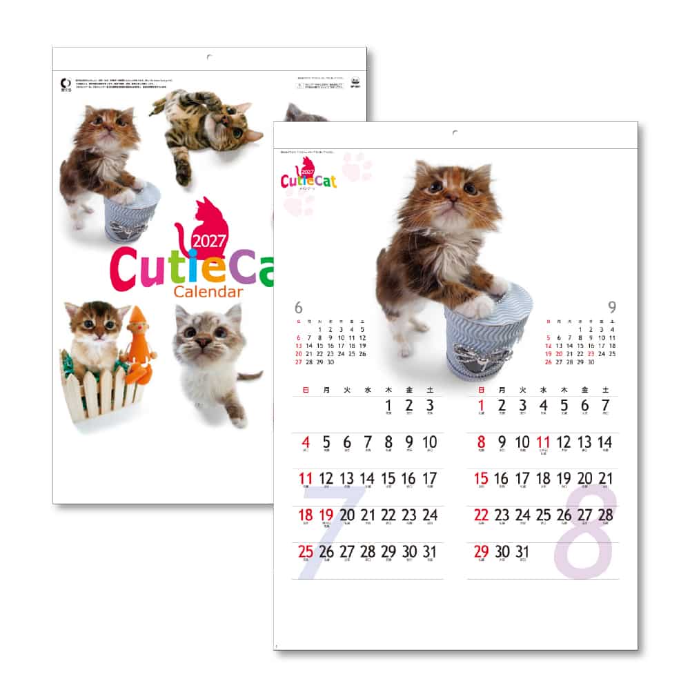 キングコーポレーション キューティーキャット 1冊(ご注文単位10冊)【直送品】