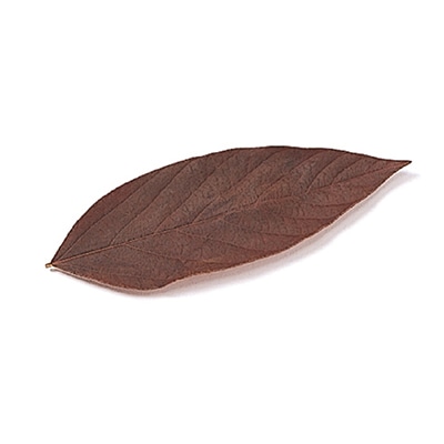 モノ・インターナショナル Vermont　プリザーブドフラワー 02069　ベルベットリーフ ブラウン　25枚/袋（ご注文単位1袋）【直送品】