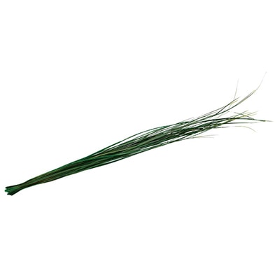 モノ・インターナショナル verdissimo　プリザーブドフラワー 03251　ベアグラス グリーン　小束 1束（ご注文単位1束）【直送品】