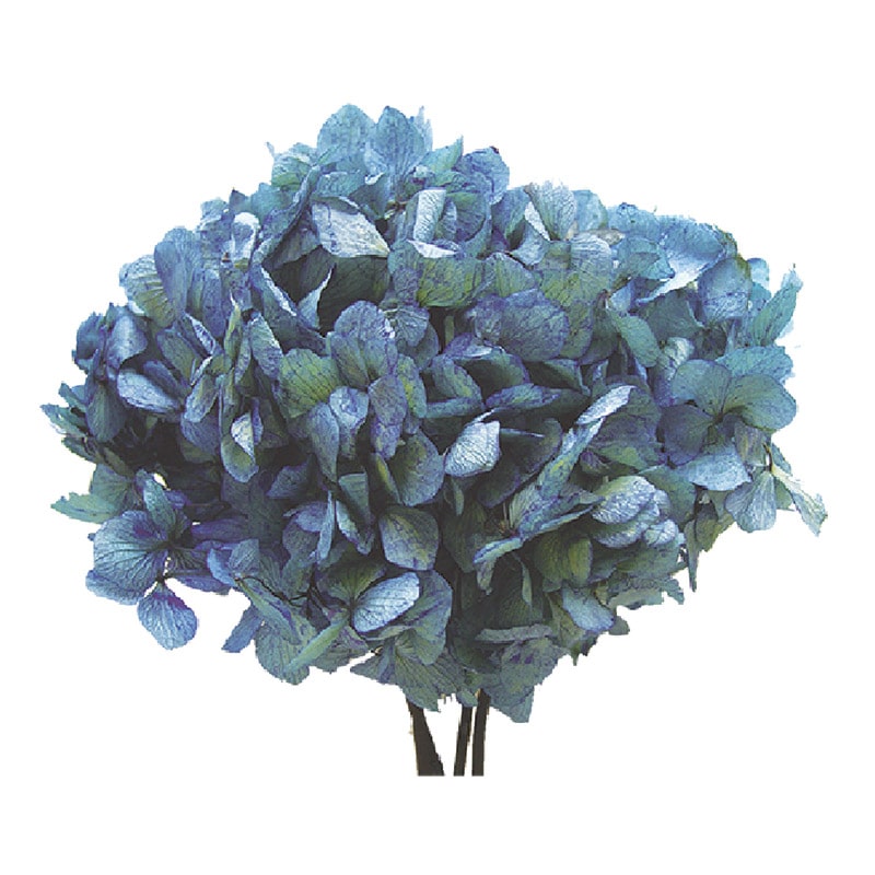 ナチュラルブルー