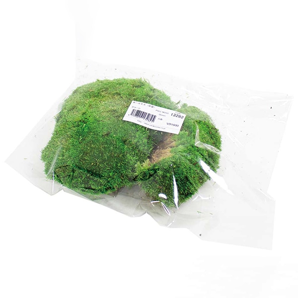 モノ・インターナショナル verdissimo　プリザーブドフラワー 13282　ポールモス 小袋 1袋（ご注文単位1袋）【直送品】