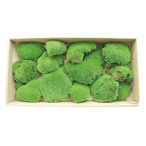 モノ・インターナショナル verdissimo　プリザーブドフラワー 13284　ポールモス XL 1箱（ご注文単位1箱）【直送品】