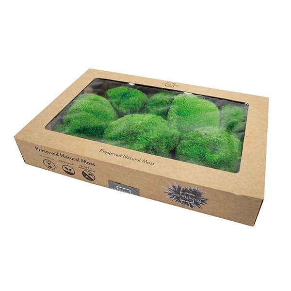 モノ・インターナショナル verdissimo　プリザーブドフラワー 13285　ポールモス 箱 1箱（ご注文単位1箱）【直送品】