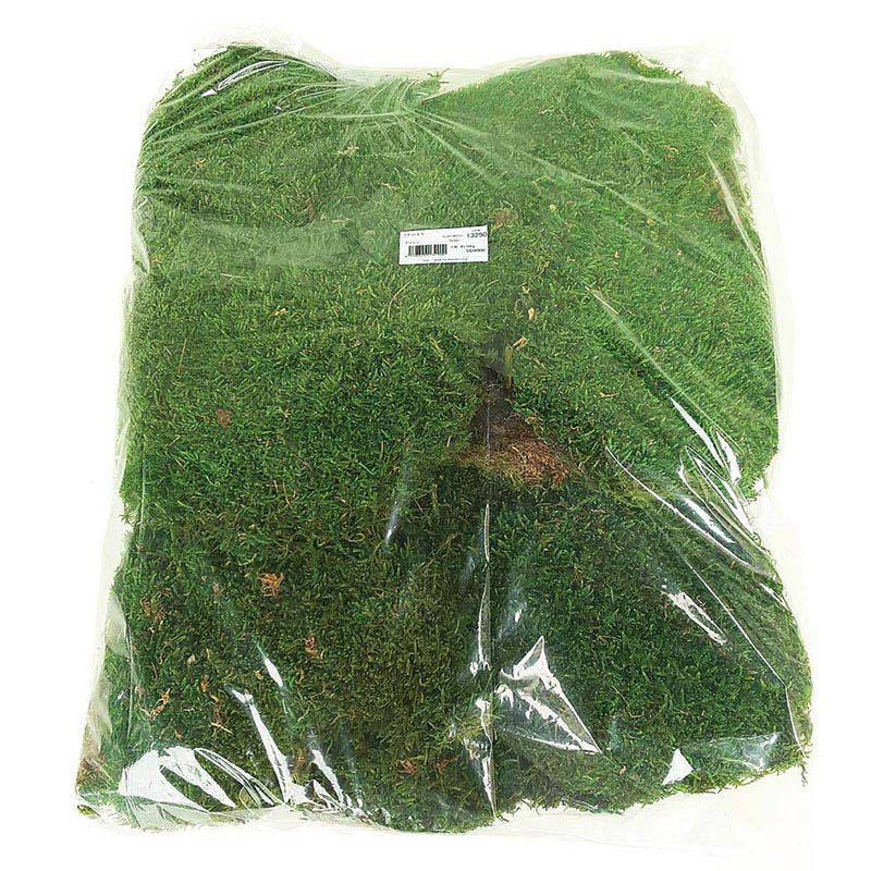 モノ・インターナショナル verdissimo　プリザーブドフラワー 13290　フラットモス 箱 1袋（ご注文単位1袋）【直送品】