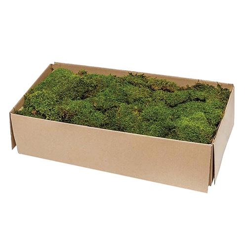 モノ・インターナショナル verdissimo　プリザーブドフラワー 13291　フラットモス バルク 1箱（ご注文単位1箱）【直送品】