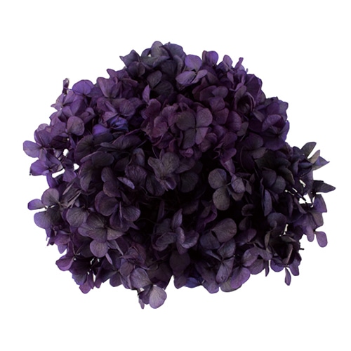 モノ・インターナショナル Vermont　プリザーブドフラワー 15708　アジサイ パープル　箱 1箱（ご注文単位1箱）【直送品】