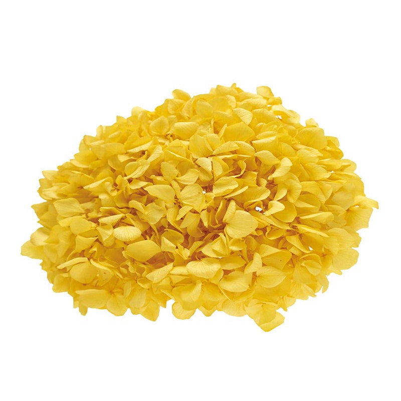 モノ・インターナショナル Vermont　プリザーブドフラワー 15710　アジサイ イエロー　箱 1箱（ご注文単位1箱）【直送品】