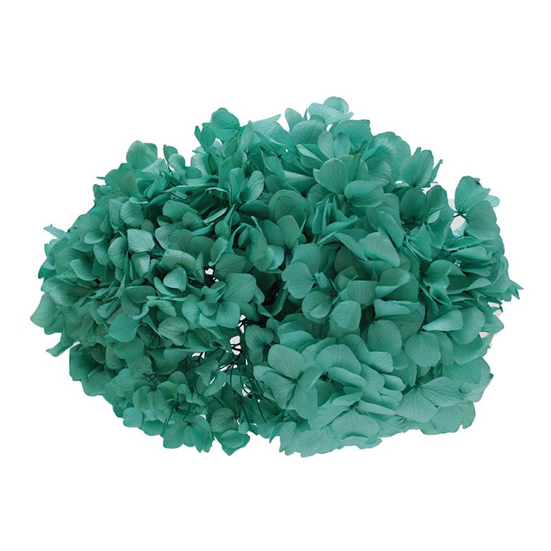 モノ・インターナショナル Vermont　プリザーブドフラワー 15711　アジサイ ラグーングリーン　箱 1箱（ご注文単位1箱）【直送品】