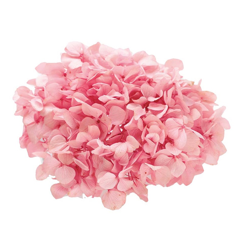 モノ・インターナショナル Vermont　プリザーブドフラワー 15712　アジサイ パステルピンク　箱 1箱（ご注文単位1箱）【直送品】