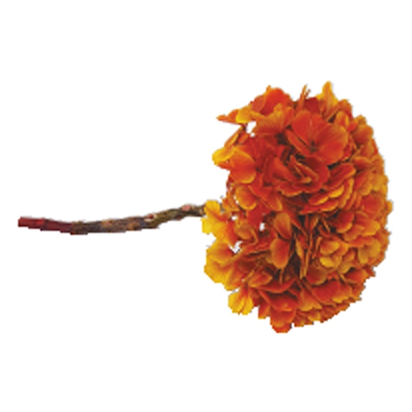 モノ・インターナショナル Vermont　プリザーブドフラワー 16706　ケニアアジサイ サンセットボルドー　束 1個（ご注文単位1束）【直送品】