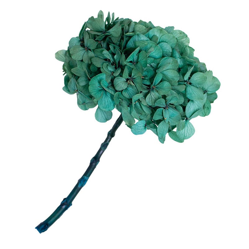 モノ・インターナショナル Vermont　プリザーブドフラワー 16710　ケニアアジサイ エメラルド　束 1束（ご注文単位1束）【直送品】