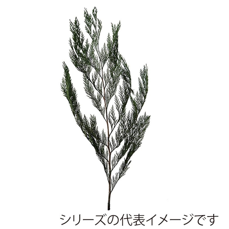 モノ・インターナショナル verdissimo　プリザーブドフラワー 37310　ヒノキ バルク　約2000g 1箱（ご注文単位1箱）【直送品】