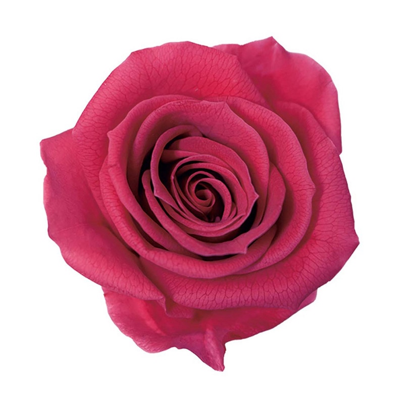 フランボワーズ